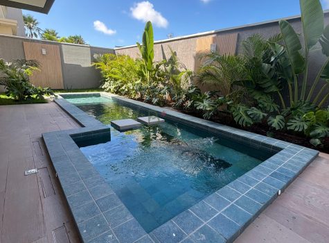 WhatsApp Image 2026-03-10 at 18.33.22 (2)